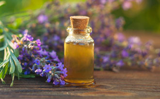 海藻濃縮營(yíng)養(yǎng)液的使用說明 雅詩蘭黛海藻精華乳怎么用_使用方法 海藻濃縮營(yíng)養(yǎng)液的使用說明 雅詩蘭黛海藻精華乳怎么用_使用方法